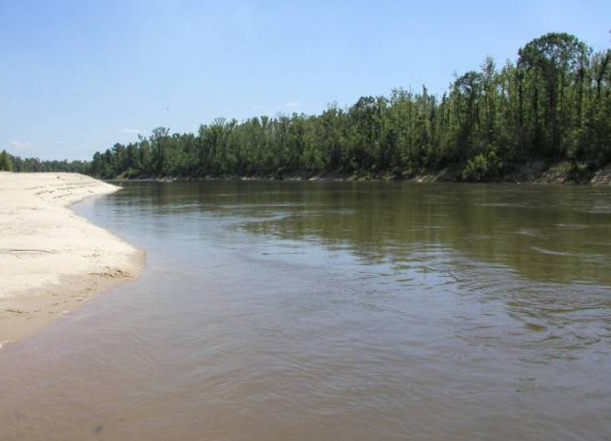 Skull Found On Sabine River KOGT