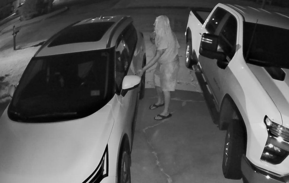 Vehicle Burglary Info (video) KOGT