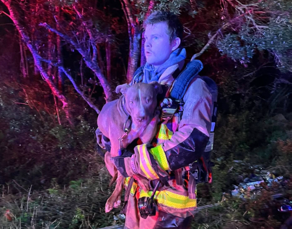 Dog Saved In House Fire - KOGT
